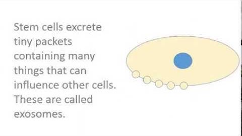 How do stem cells work? Exosomes or How to Get Another Cell to Do Your Chores