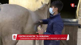 CENTRO ECUESTRE EL ROBLEDAL 23/10/2020