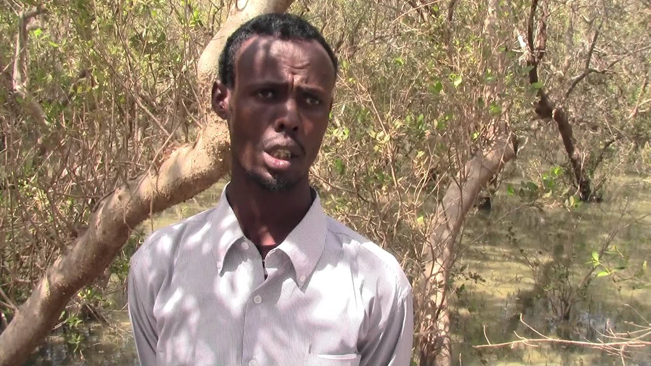 booqashadii goobaha dalxiiska ee mammulka raascaseyr  gaar ahaan M/ caluula