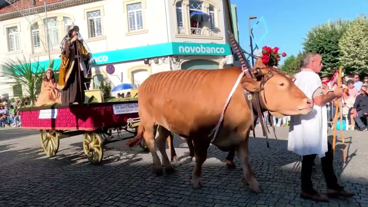 Procissão de  Nossa Senhora dos Remédios