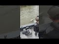 ¡Un solo lance, una red y cinco peces atrapados!