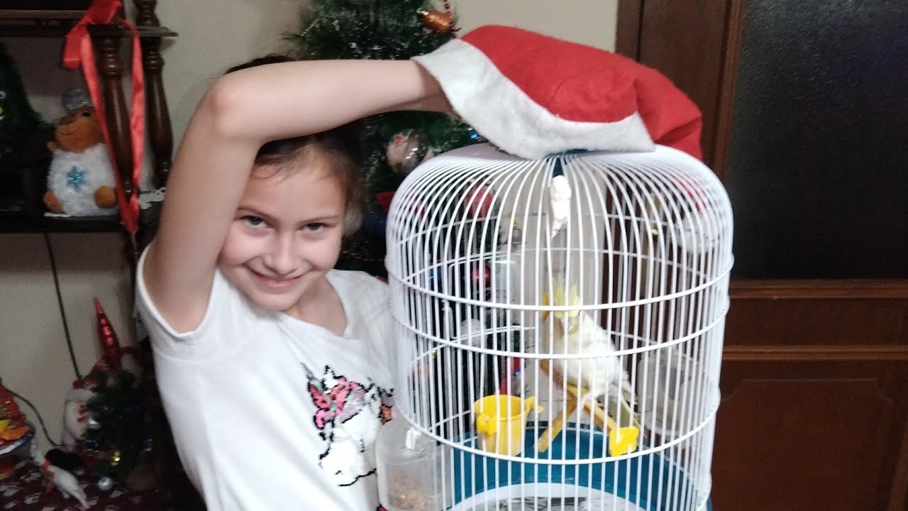 Ko će doći - Krampus ili Deda Mraz? 🤔