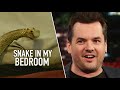Jim Jefferies - How You Deal With A Snake In Australia