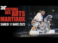36e festival des arts martiaux live