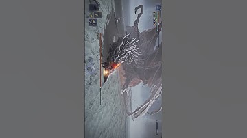 Thumbnail of Everdark Caligo Solo on Wylder GMV