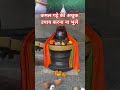 कमल गट्टे की अचूक उपाय करना ना भूले🕉️🙏🏻#pradeepmishrajidhankeupayi #shortsfeed #akshytritiya