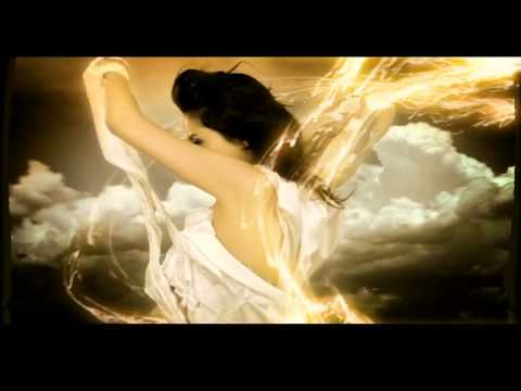 劉耕宏 - 迦南美地