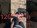 Keep them bandits at bay...12 gauge coach shotgun. #hk #asmr #Shotgun #shooting