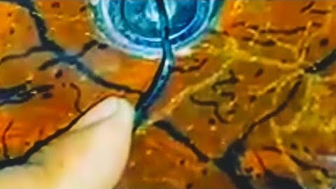 How To Open Drawer Lock Without key #shorts #viral