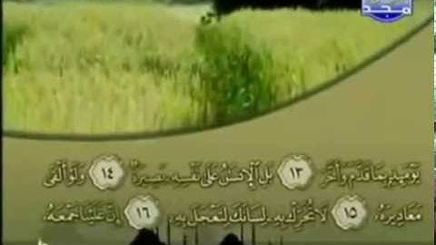 075-- سورة القيامه " الشيخ شعبان محمود عبد الله " مصحف تراويح 2016 " mohamed basyouni