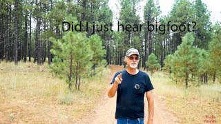 Droning and maybe hearing bigfoot!   99.