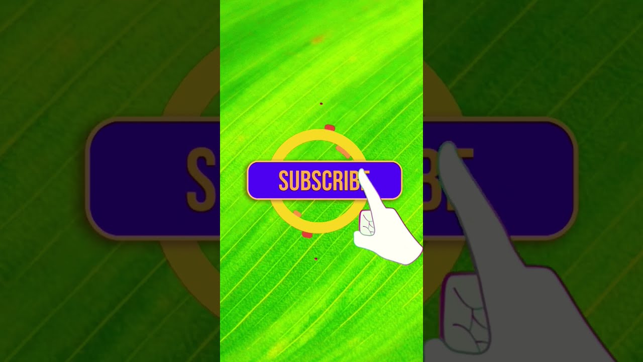 If You Crack This Quiz In One Go Are A Genius Quiztime
