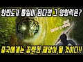 중국반응│한반도가 통일된다면 과연 그 영향력은 얼마나 될까?│남한의 경제력과 군사력 기술력+북한의 핵과 자원이 합쳐진다면?│통일한국을 상상한 중국의 반응│​중국어로[路]