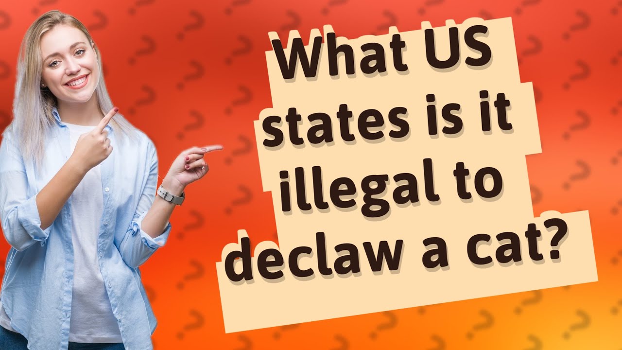 What US states is it illegal to declaw a cat? - YouTube