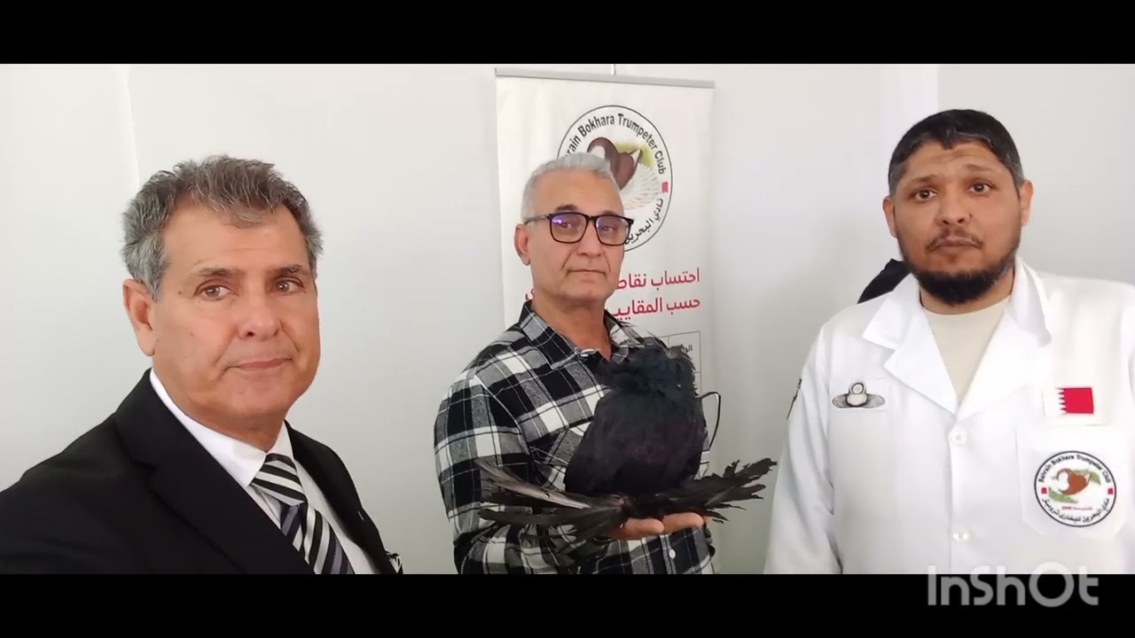 تحكيم علي فصيلة البخاري في معرض لجنة الحمام الزينه ٣٠ يناير ٢٦