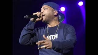 Styles P - 100% Styles P by DJ Stikmand