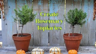 How To Make Easy Rosemary Topiaries (super fun)