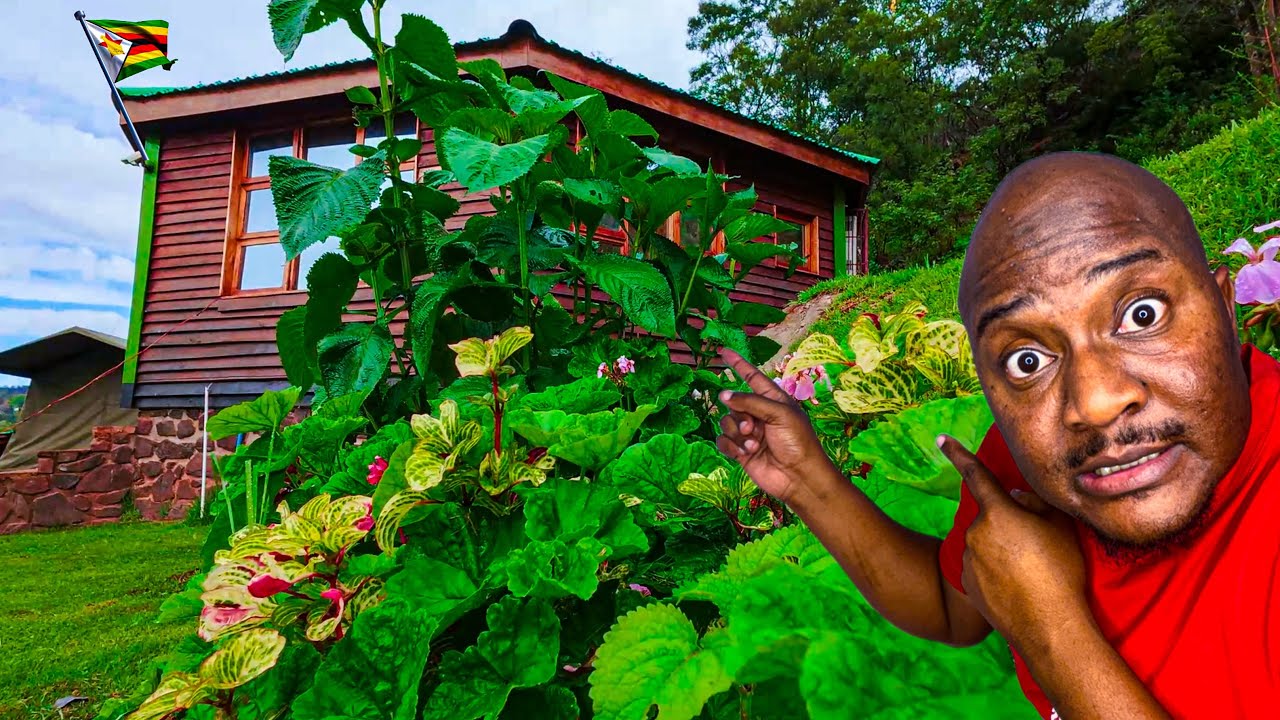 He Is Based in UK, This Is How He Is Investing Deep In Rural Zimbabwe