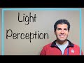 What Does it Mean to Have Light Perception Vision And What Does it Look Like?