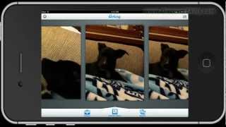 Aviary App - A Simple but effective photo editor Aviary App - A Simple but effective photo editor
