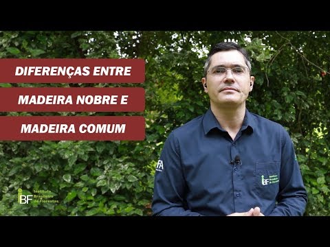 Vídeo: Diferença Entre Madeira E Floresta