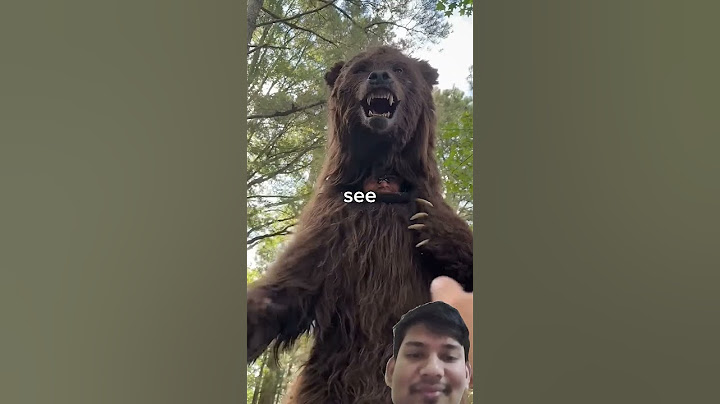 Spot The Fake Animal For $10,000। @ReelBuzz-r8k #funny #animals। @MrBeast #funniestvideo