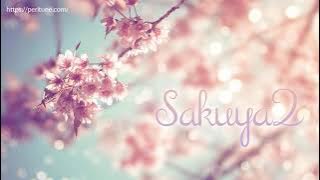 [1 hour] Sakuya2 - Elegant and beautiful Japanese BGM