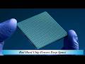 Rad Hard Chip Powers Deep Space