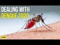 Dealing with Dengue 2020