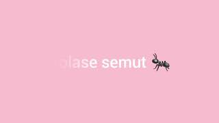 MEMBUAT KOLASE SEMUT DARI DAUN KERING 🐜🍂| Prakarya