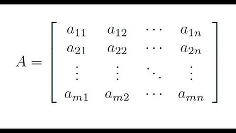 Linear Algebra Basics: Terminologies, Special Matrices, Arithmetic, Matrix Function and Derivative