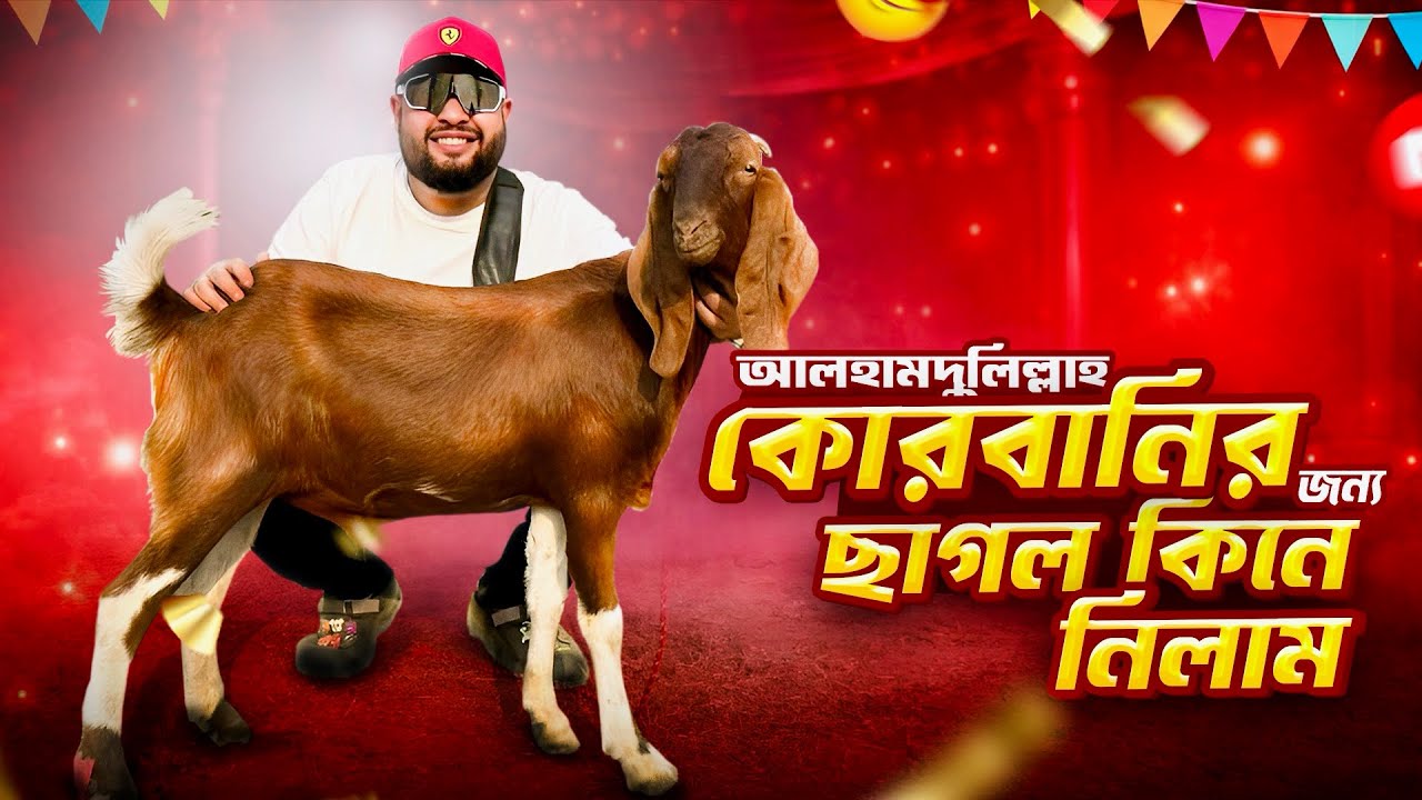 আলহামদুলিল্লাহ, কুরবানির জন্য ছাগল কিনা নিলাম