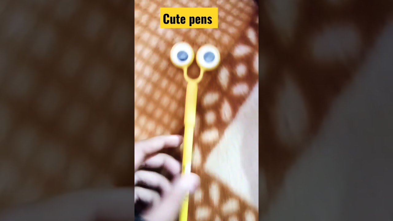 Cute pens in just 20 rupees from local market 