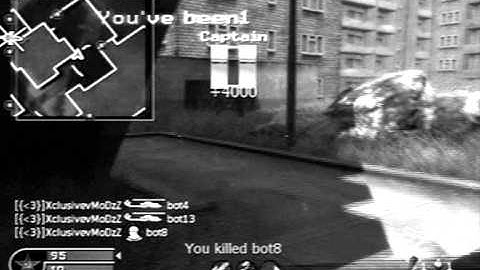 COD4 New bot infection