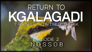 RETURN TO THE KGALAGADI - Episode 2 - Nossob