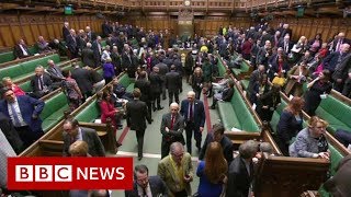 Brexit vote: What exactly MPs are voting on? - BBC News