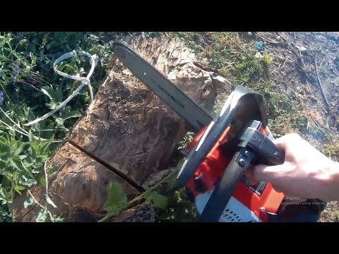 Motosierra barata GREENCUT GS2500 10" de gasolina para poda buena calidad