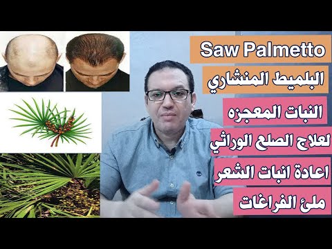 السوبالميتو البلميط المنشاري النبات المعجزه لعلاج الصلع الوراثي واعادة انبات الشعر وملئ الفراغات