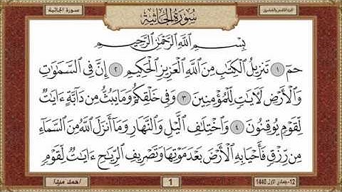 سورة الجاثية للشيخ حسن صالح