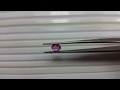 1.94 Carat Ceylon Dark Pink Sapphire Earth Mined Attractive Gemstone For Ring 39214A15-15