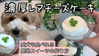 【犬用スイーツ】濃厚レアチーズケーキの作り方♪ヨーグルト大好きなワンちゃん必見です！！