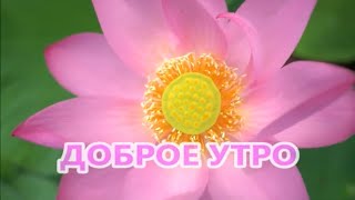 Доброе Утро.       Музыка Сергея Чекалина