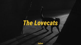 The Cure - The Lovecats // Letra Español