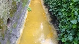 It's a chicken tikka disaster! Rivers in Bradford are turning YELLOW because the