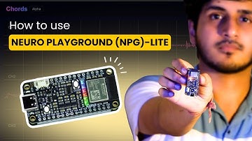 How to use Neuro Playground (NPG) Lite: Complete Setup & Signal Visualisation Using Chords