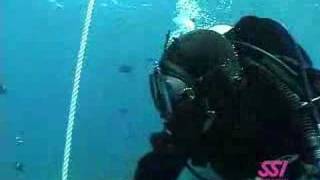 Celebrity Exploring Beyond the Surface Wealth