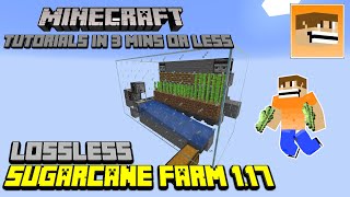 Lossless Sugarcane Farm - Minecraft Tutorials in 3 minutes or less | Minecraft 1.17 @BackdraftGaming