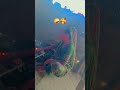 saali / Rakesh Barot new song / Gujarati new song status