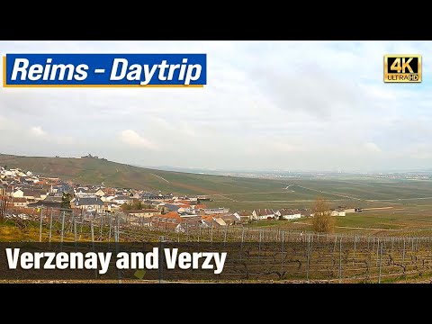 Daytrip near Reims: Verzy and Verzenay || Vorgewandert Quick Virtual Travel