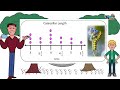 Data Interpretation Quiz